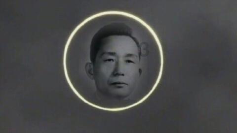 机智问答网页-智能老公最近老应酬,吃得油腻还过度劳累,要备孕该如何调理?解答,快速找到你想知道的答案